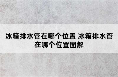 冰箱排水管在哪个位置 冰箱排水管在哪个位置图解